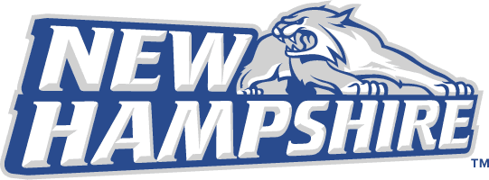 New Hampshire Wildcats 2000-Pres Alternate Logo diy iron on heat transfer